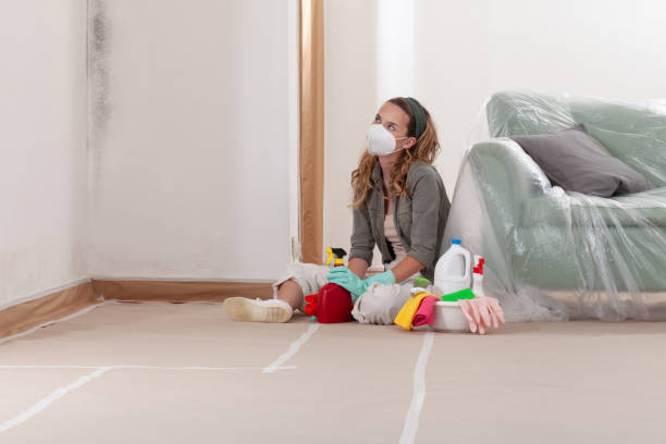 Reliable Mold Testing contractor in Coalport, PA by WQB Mold Removal