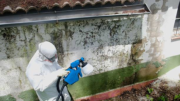 Top rated local Mold Testing specialists in Coalport, PA